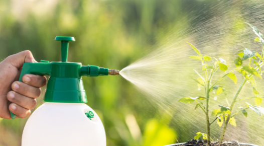 Opryski domowej roboty